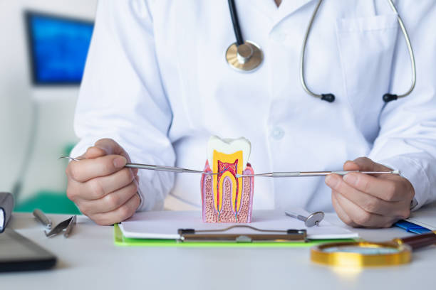 Best Urgent Tooth Repair  in Ely, MN